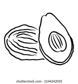 esbozo de línea simple de aguacate con estilo de línea negra