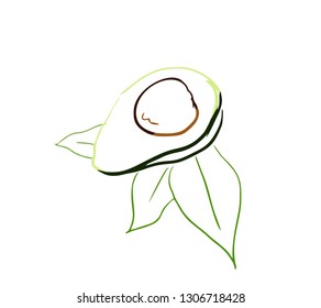 avocado sketch design Icon hand drawn 
