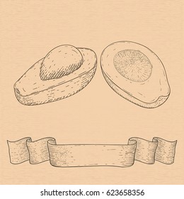 Avocado sketch on beige background. With ribbon banner. Vector illustration
