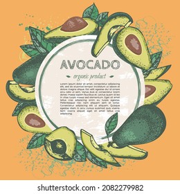 Avocado sketched round shape template with place for text. Banner with tropical fruits. Healthy organic nutrition. Vegetable elements for the design of cosmetics, packaging, menus. Vector template.