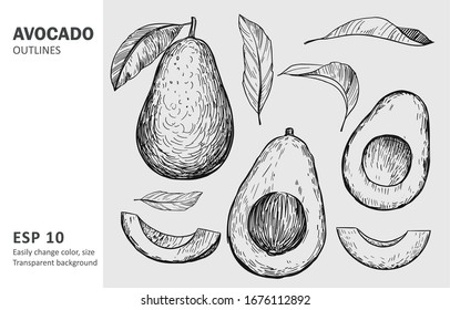 Avocado sketches. Hand drawn illustration converted to vector. Black on transparent background