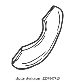 Avocado slice vector icon. Hand drawn sketch of ripe tropical fruit. Piece of peeled fresh avocado. Tasty healthy food, garden vegetable outline. Monochrome illustration isolated on white