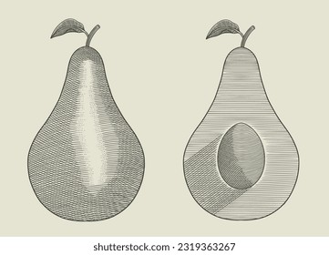  Avocado and sliced pieces , hand drawing vintage engraving style vector illustration