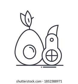 Avocado slicer icon, linear isolated illustration, thin line vector, web design sign, outline concept symbol with editable stroke on white background.
