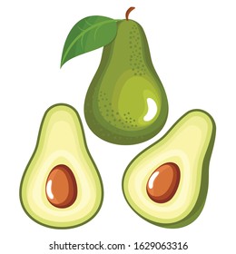 Avocado and slices, flat vector design and icon