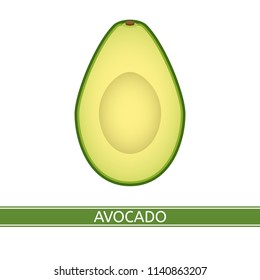 Avocado slices isolated on white background. Vector illustration