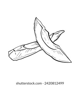 Avocado slices vector illustration. Avocado fruit ripe part. Black outline graphic drawing. Tropical vegan food ink line contour. Healthy organic garden fresh nature plant