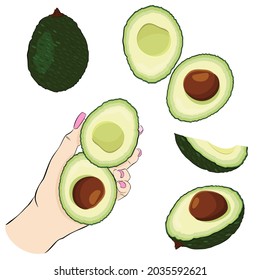 Avocado slices, whole avocado.
Female hands with halves of avocado in vector