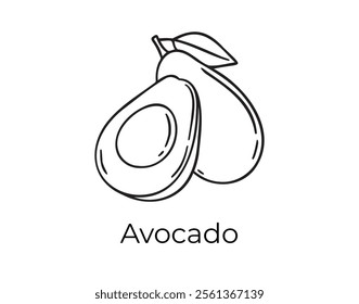 avocado with a stone fruit doodle hand drawn icon. Outline drawing organic natural cosmetic ingredient avocado line clipart symbol . Vector illustration