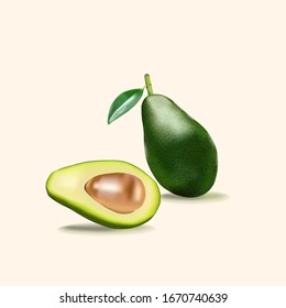 
Avocado in the style of a mesh gradient. Vector illustration. Vector fruits and vegetables. Useful food, natural vitamins and fatty acids. Delicious and natural vegetable product