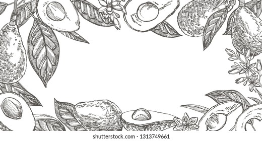 Avocado teamplate for postcards. Vector hand drawn illustrations. Avocado, sliced pieces, half, leaf and seed sketch. Tropical summer fruit engraved style illustration.