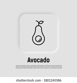 Avocado thin line icon. Healthy organic food. Vector illustration.