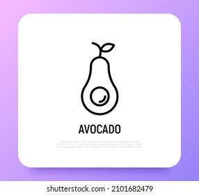 Avocado thin line icon. Healthy organic food. Vector illustration.