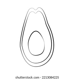 Avocado in thin line  Vector white background