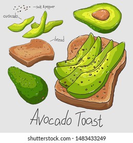 Avocado toast for breakfast. Healthy food. Ripe sliced avocado and whole grain bread. Isolated clipart set.