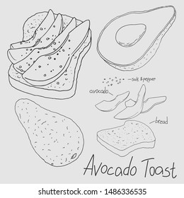 Avocado toast for breakfast. Healthy food. Ripe sliced avocado and whole grain bread. Isolated clipart set.