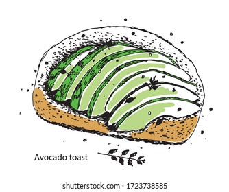 Avocado toast. Fresh toasted bread with slices of ripe avocado. Vector illustration. Vintage design with hand drawn sketch. Line art style.