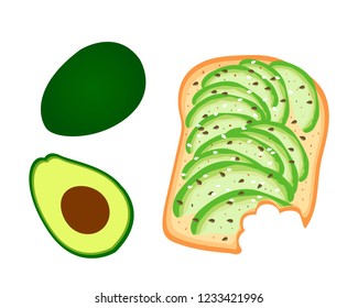 Avocado toast. Sliced avocado on toast bread with spices. Delicious avocado sandwich with sesame seeds, seasoning and dill. Vector illustration.