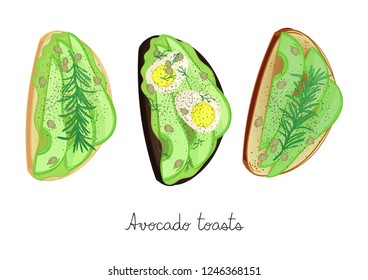 Avocado toasts. Three different avocado sandwiches set. Guacamole, seeds, eggs. Healthy food. Isolated vector illustration use for menu and your design