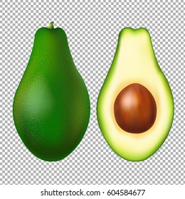 Avocado Transparent Background With Gradient Mesh, Vector Illustration