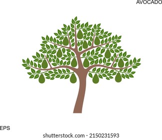 Logo del árbol de aguacate. Árbol de aguacate aislado sobre fondo blanco