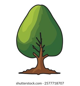 Avocado Tree Nature Ilustration Art