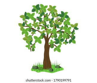 Avocado tree on grass. Vector design Illustration.