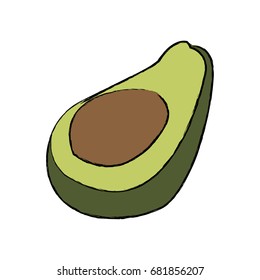 avocado tropical fruit green vitamins