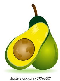 Avocado - Vector