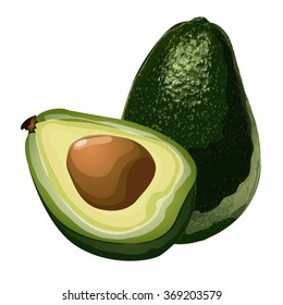 Avocado. Vector.