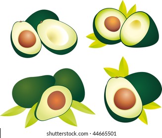 Avocado vector