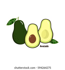avocado vector