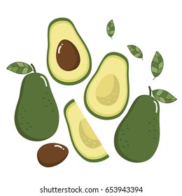 avocado vector