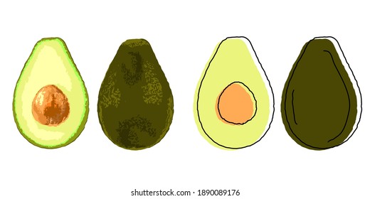 Avocado Vector - Alpukat Isolated in white background