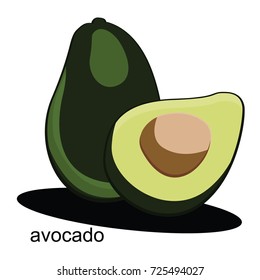avocado vector art illustration