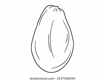 avocado vector with black line art