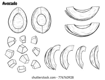Avocado vector by hand drawing.Avocado set on white background.Vegetable sketch art highly detailed in line art style