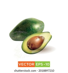 Avocado vector eps10 file for any use