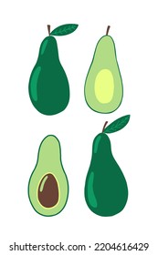 Avocado vector flat style set. Avocado and fruit in section vector set.