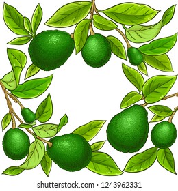 avocado vector frame
