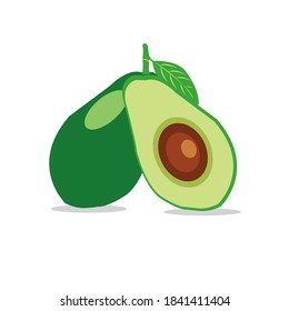 
avocado vector fruit delicious green color
