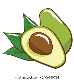 avocado vector graphic clipart design