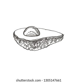 Avocado. Vector hand drawn illustrations. Tropical summer fruit engraved style illustration.