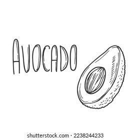 Avocado, handgezeichnet, mit Avocado-Illustration