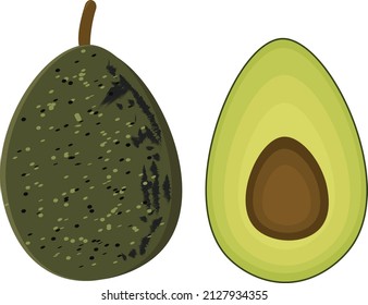 Avocado Vector For Healthy Food