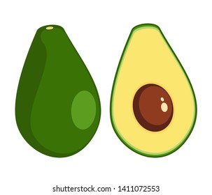 Avocado vector. healthy fruit avocado that was cut in half until the seed could be seen inside.