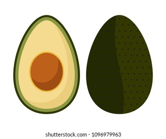 avocado vector icon