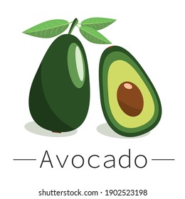 Avocado vector icon. Whole avocado and avocado in cut. Exotic fruits. Avocado fruit in flat design. Vector illustration