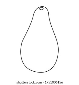Icono vector de aguacate.Icono vector de línea aislado en aguacate de fondo blanco.