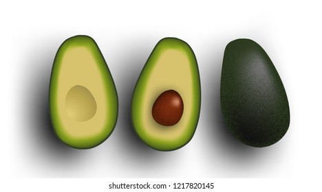 Avocado vector illustration